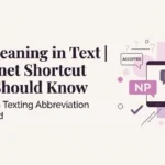 NP Meaning in Text