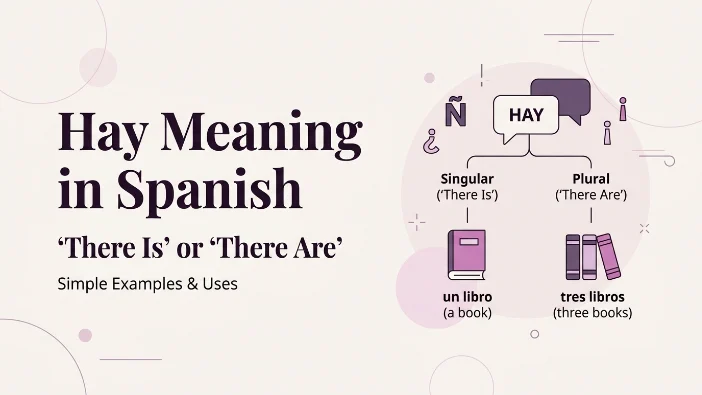 Hay Meaning in Spanish
