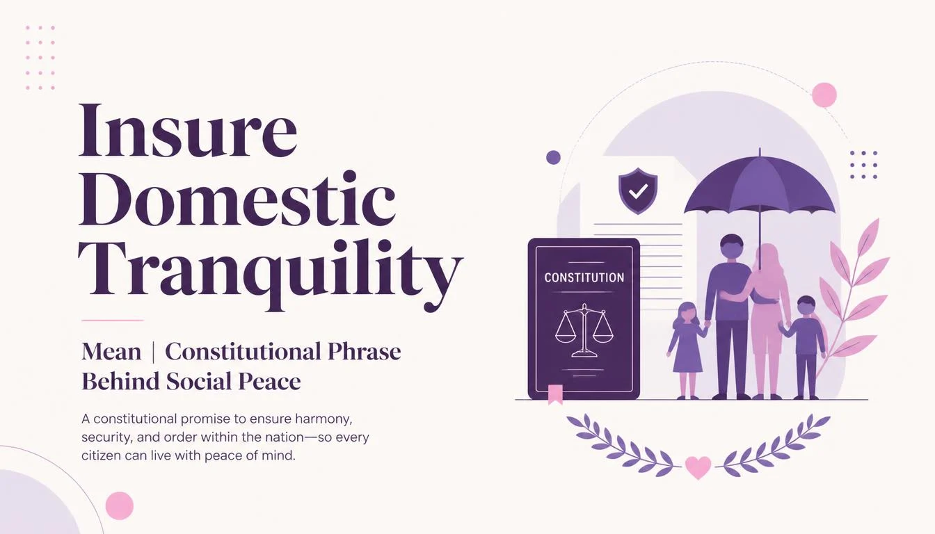 "Insure Domestic Tranquility" Mean